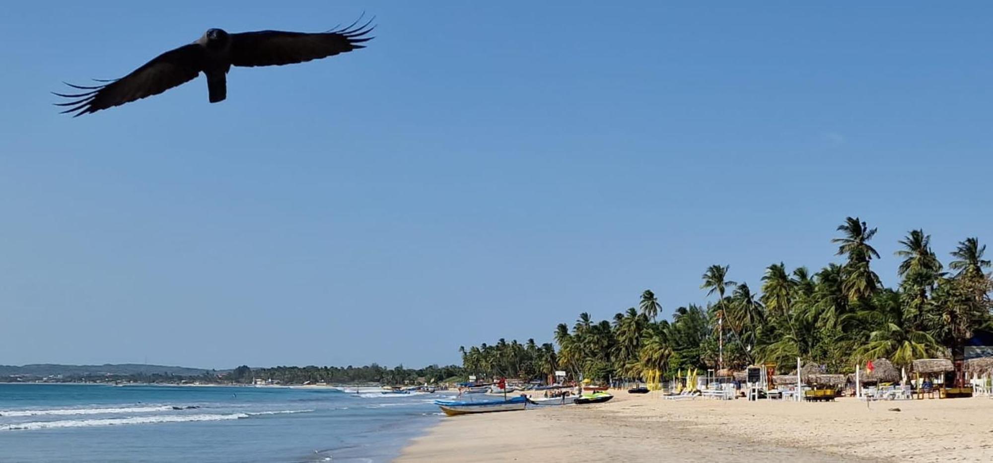 Lucky Beach Resort تريكونامالاي المظهر الخارجي الصورة